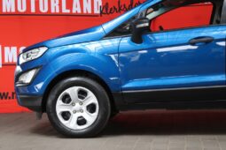 2020 Ford Ecosport 1.5 TDCI Ambiente (M) full